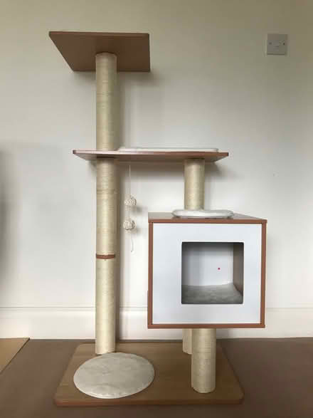 Photo of free Cat tower (Kew TW9) #1