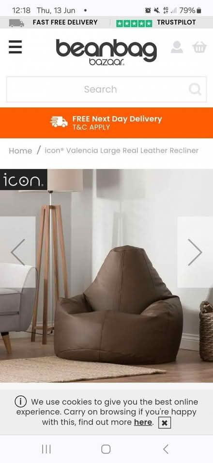 Photo of free Brown bean bag chair (Ryhill WF4) #2