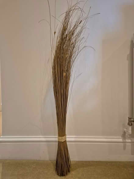 Photo of free Reeds to go in vase (Condicote GL54) #1