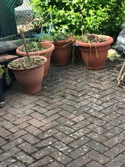 Photo of free Lots of big flower pots (Selsdon) #1