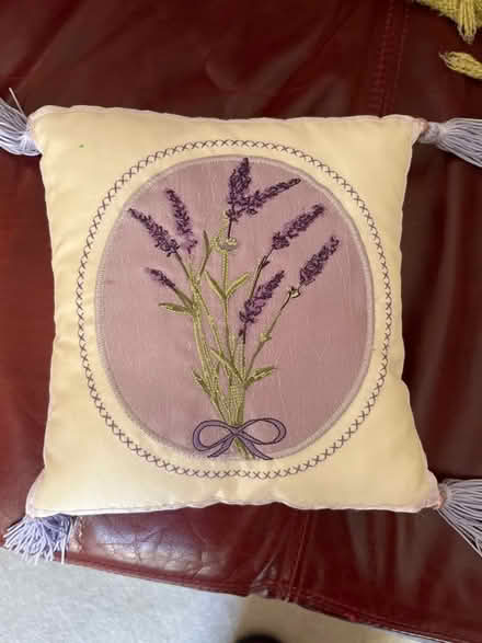 Photo of free Small decorative cushion (Surbiton KT6) #1