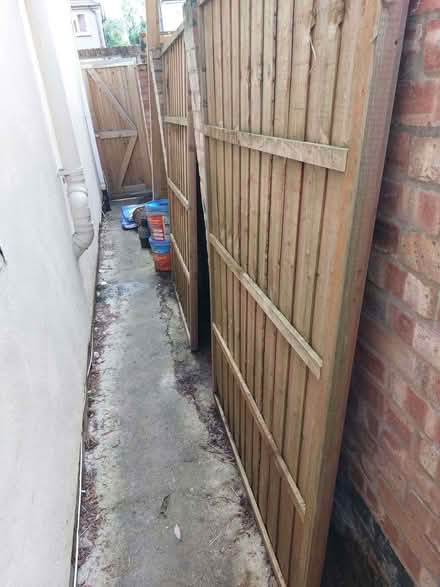 Photo of free Wavy lap fencing and posts (BR7) #1