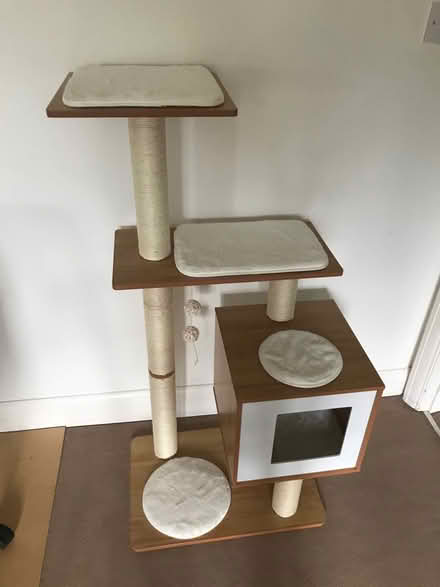 Photo of free Cat tower (Kew TW9) #2