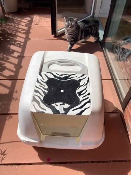 Photo of free Cat litter boxes and feeding bowl (E9) #1