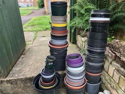 Photo of free Mix of used plastic flower pots (Hertford SG14) #4
