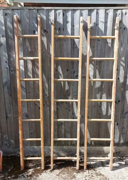 Photo of free Old ladders -- for planters or whatever (Headington OX3) #1