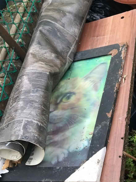 Photo of free Allotment hose x lino (Selsdon) #3