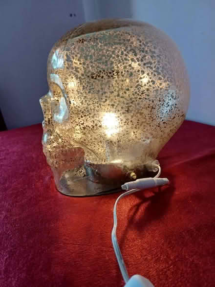 Photo of free Glass skull light (Bushey North WD23) #2