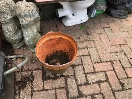 Photo of free Lots of big flower pots (Selsdon) #4