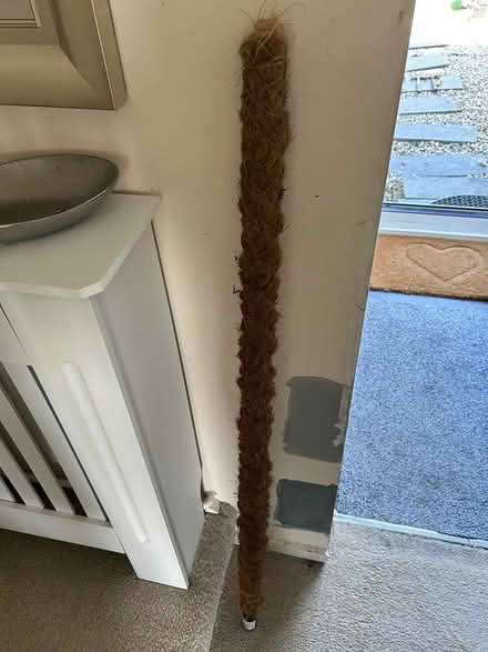 Photo of free Moss pole for houseplants (Peacehaven) #1