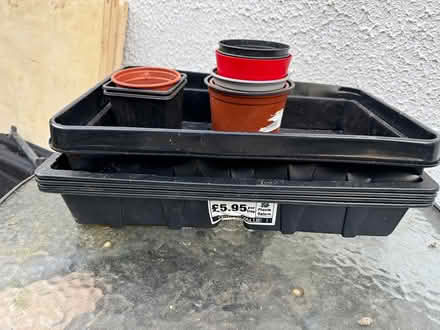 Photo of free 6 black seed trays and pots (BH9 Moordown) #1