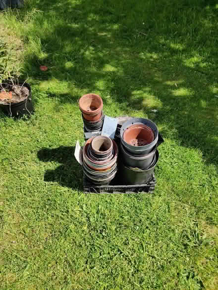 Photo of free Lots of plants pots (Cheddington, LU7) #2