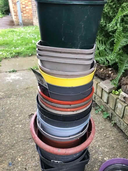 Photo of free Mix of used plastic flower pots (Hertford SG14) #3