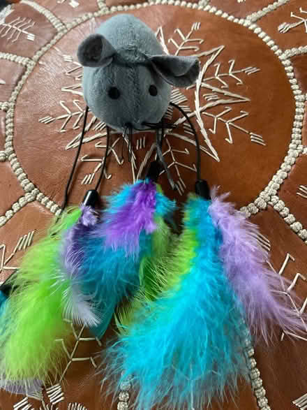 Photo of free Cat toy (CT5) #1