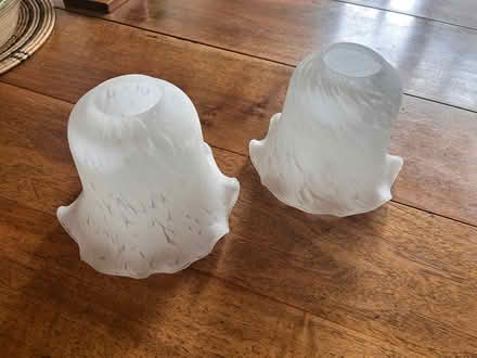 Photo of free Glass Lampshades (Bristol BS4) #1