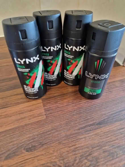 Photo of free Lynx Africa (Bishop's Tachbrook CV33) #1