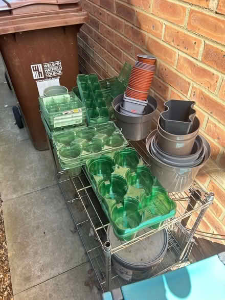 Photo of free Plant pots (Hatfield AL10) #1