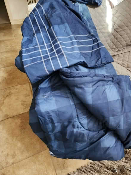 Photo of free Queen comforter and 2 pillow shams (Desert Ridge, Phoenix) #1