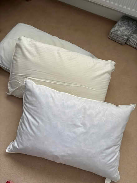 Photo of free Pillows x 3 (SN7 Longcot) #1