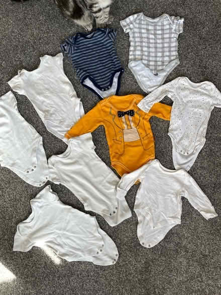 Photo of free baby clothes 0-3 months (Bucklands Road, TW11) #1