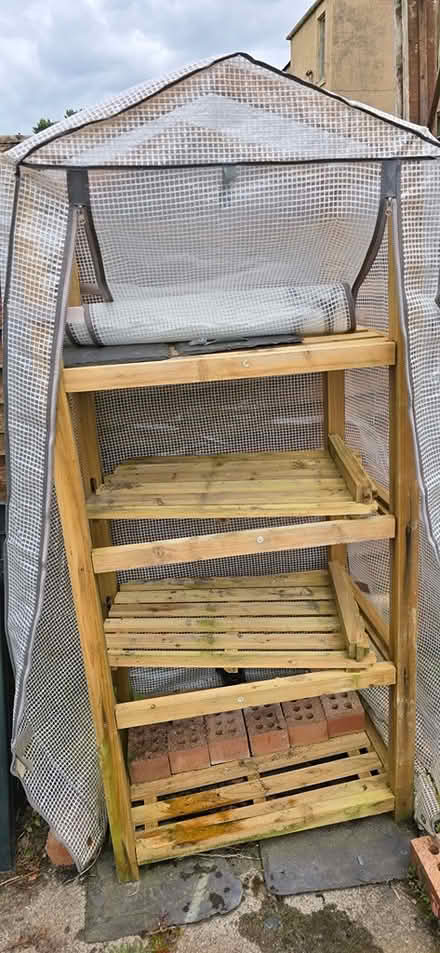 Photo of free Small Greenhouse (Cambuslang, Glasgow) #2