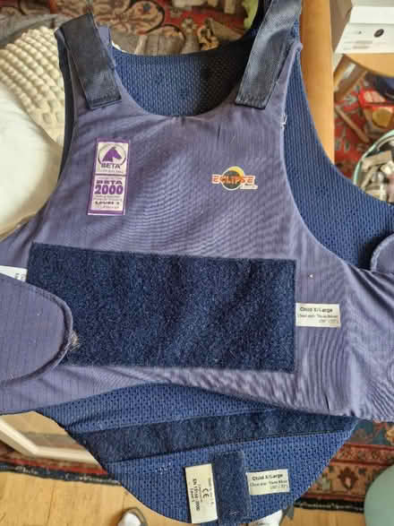 Photo of free Horse riding back protector (D6W) #1