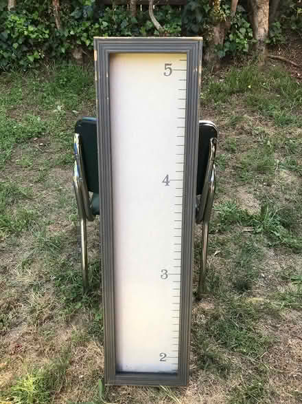 Photo of free Restoration Hardware baby measurer (San Anselmo near Andronico’s) #1
