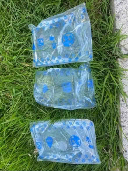 Photo of free Large Ice Packs (Catford South SE12) #1