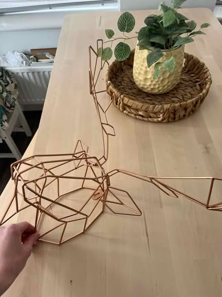 Photo of free Wire stag wall hanging (L36 Roby) #1