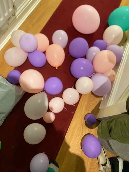 Photo of free Pink and purple balloons (Heath) #1