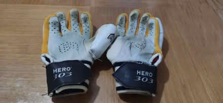 Photo of free GM Cricket gloves for youth (CV31) #4