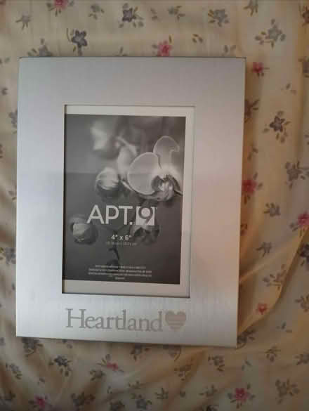Photo of free Picture Frame (Havertown) #1