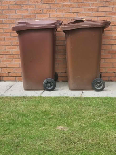 Photo of free One Brown Bin (Dumpling Hall, NE15) #1