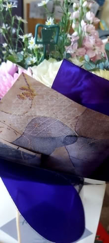 Photo of eney strawberry plants (Meole Brace SY3) #1