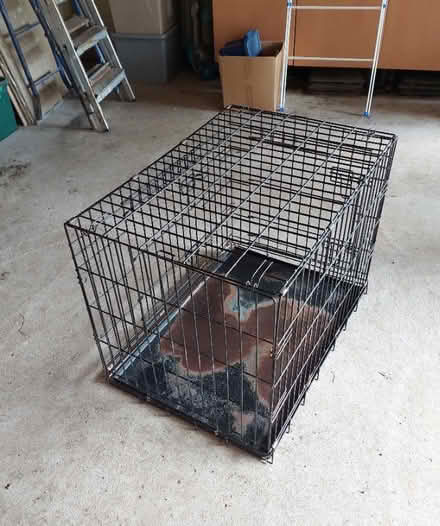 Photo of free Medium Dog Crate (Durdar CA2) #1