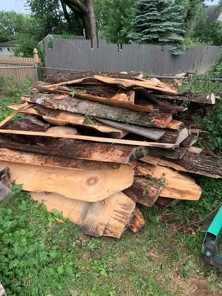 Photo of free firewood (Blackman Township) #1