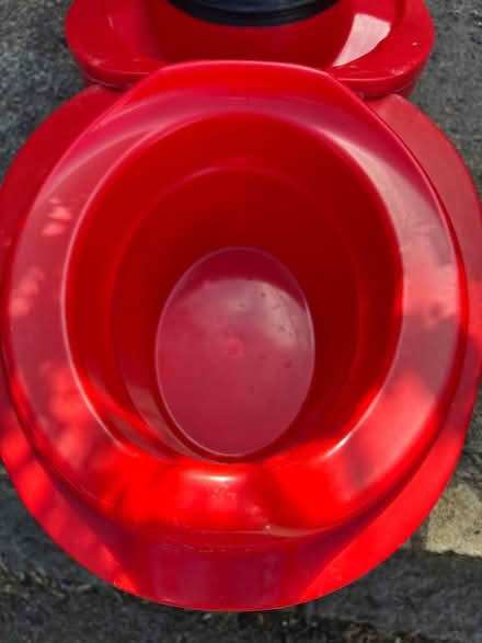 Photo of free Toddler travel potty (Bath and within 10 miles) #4