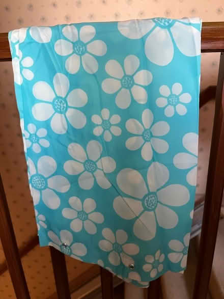 Photo of free Shower Curtains (Stamford PE9) #1