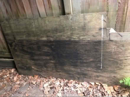 Photo of free Large piece of wood (Madison Valley) #1