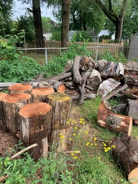 Photo of free firewood (Blackman Township) #2