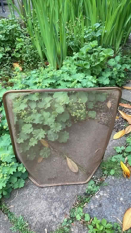 Photo of free Metal fire guard (TQ12) #1