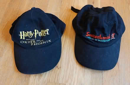 Photo of free 2 caps (Hamden) #1