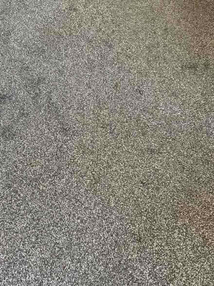 Photo of free Carpet (Walsgrave CV2) #1