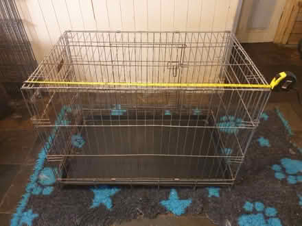 Photo of free Dog Cages (Trowbridge BA14) #1