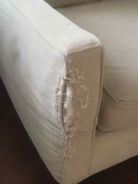 Photo of free Couch - Cat Scratches (Junction/Stockyards) #2