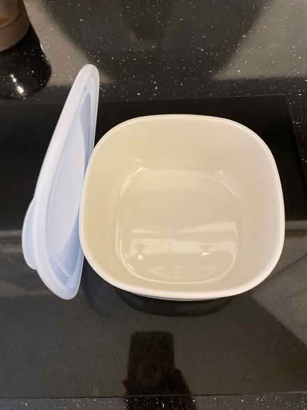 Photo of free Plastic storage dish with lid (RG30) #2