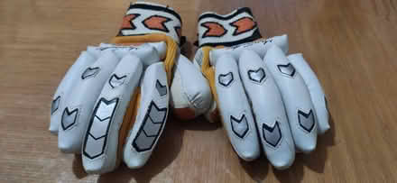 Photo of free GM Cricket gloves for youth (CV31) #1