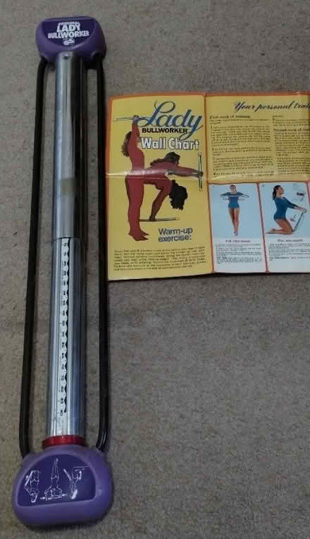 Photo of free Lady Bull worker and wall chart. (GU14) #1