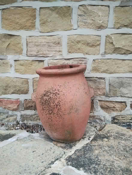 Photo of free Terracotta Planter (Dronfield Woodhouse.) #1