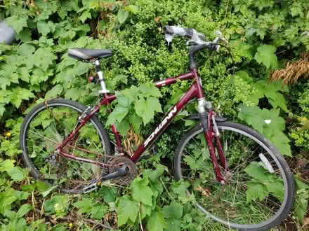 Photo of free Old bike (Bray) #1